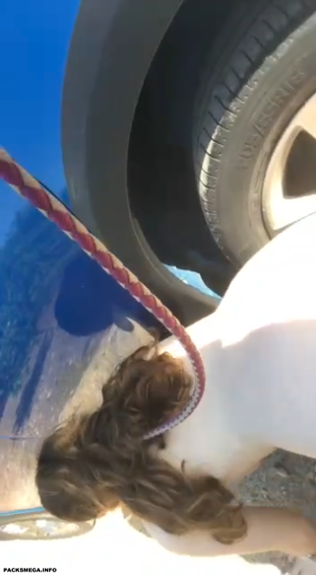 Morra sumisa se deja domar de perrito y que hagan lo que quieras con ella.